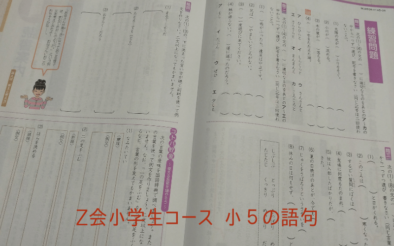 Z会小学生コース小５語句の問題