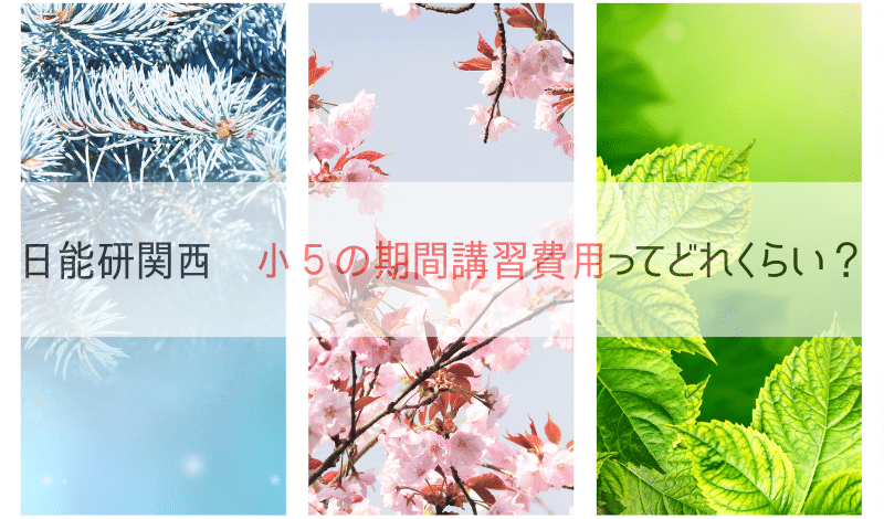 冬と春と夏の木の写真