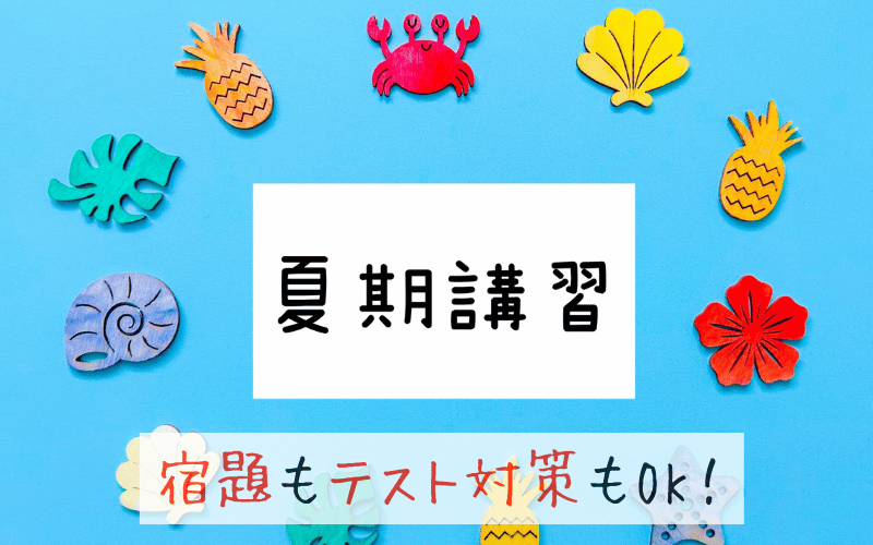 「夏期講習」「宿題もテスト対策もOK」の文字