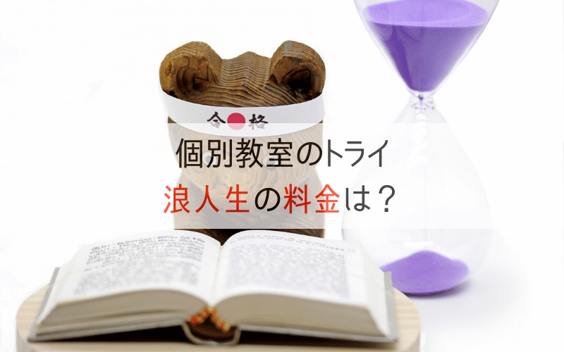 ハチマキを巻いて本を読む熊