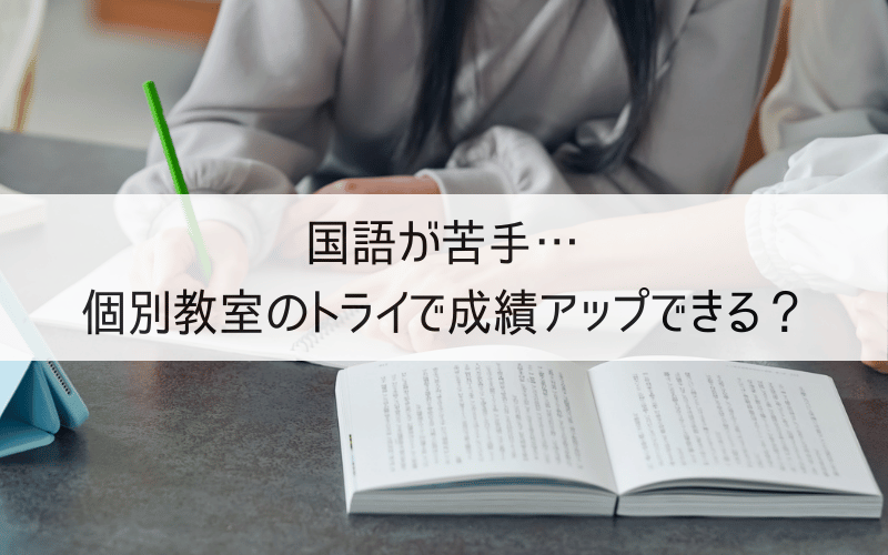 国語の勉強をする生徒と指導をする講師